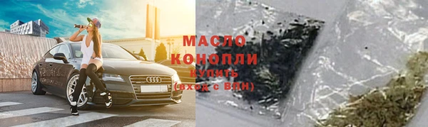 шишки Абаза