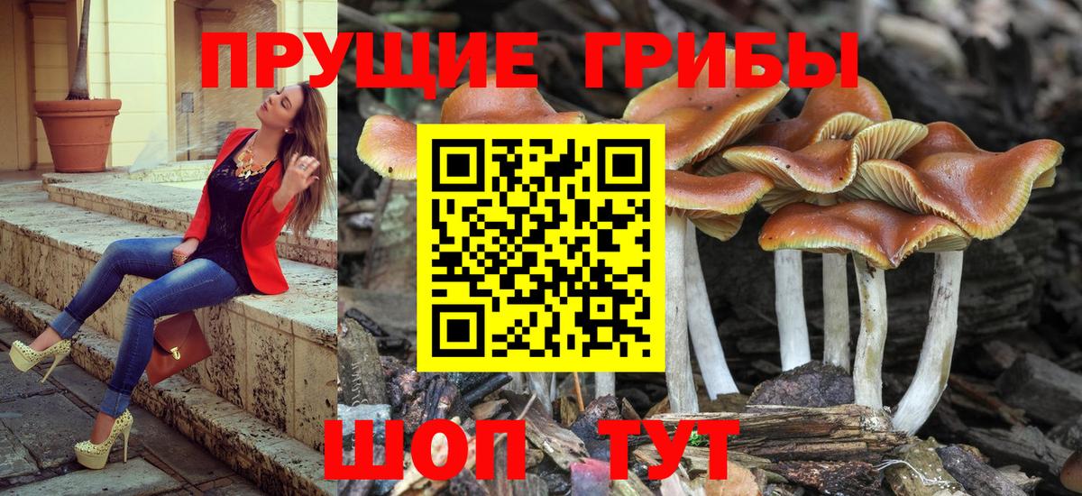 Псилоцибиновые грибы мухоморы  Вход с VPN  Галлюциногенные грибы ЛСД  магазин    Тула 